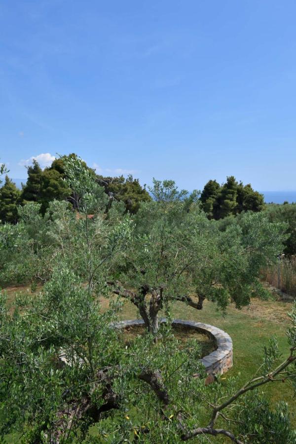 Villa Kladi Nikiti  Luaran gambar